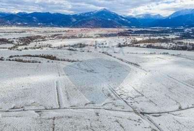 Teren agricol extravilan de 8329 mp, în Glăjărie - 9