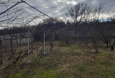 Casă cu 4 camere în - 5