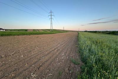 Spațiu comercial, în Dealu - 8