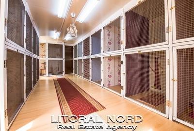 Exclusivitate-Ovidiu-Pet Hotel, 220 mp utili,teren intravilan 1.417mp,utilitati - 5