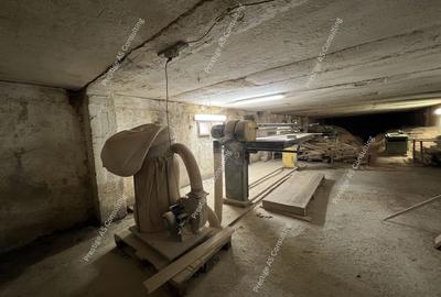 Spațiu industrial, de 840 mp, în Vest - 9