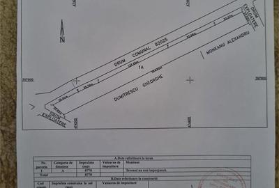 Teren de 7000 mp, în Băiculești - 4