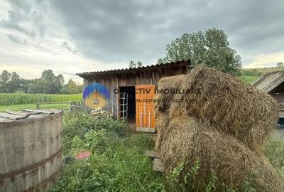 Casa de vanzare - GHINDAOANI - 6