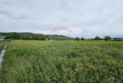 Teren de 1495 mp, în Dobreni - 3