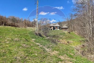 Teren agricol extravilan de 7495 mp, în Bârsana - 6