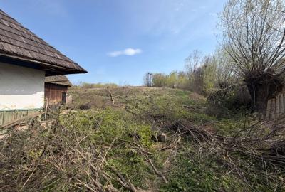 Casă cu 4 camere în Arbore - 3