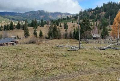 Teren de 18600 mp, în Panaci - 3