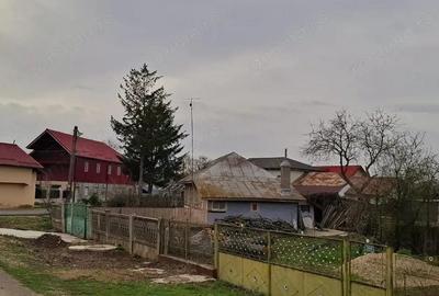 Crevedia - Darza , teren si casa batraneasca - 3