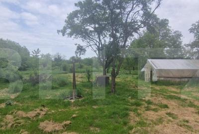 Teren intravilan, 4230 mp, Baicoi - 4