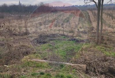 Teren de 2341 mp, în Uileacu de Munte - 10