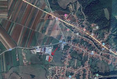 Teren de 1729 mp, în Teliu - 6