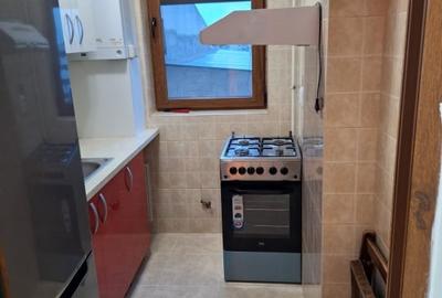 Garsoniera de inchiriat 1 camera, 35 mp Baba Novac - 6