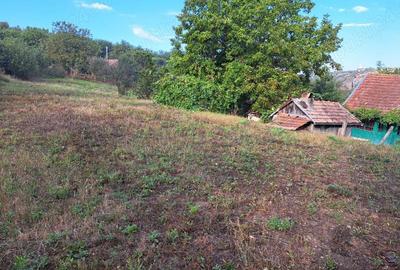 Casă cu 2 camere în Cojocna - 4