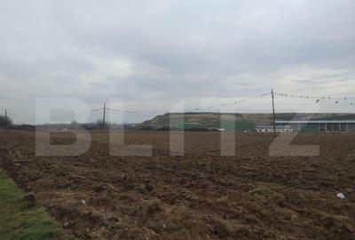 Teren de 13000 mp, în Mofleni - 1