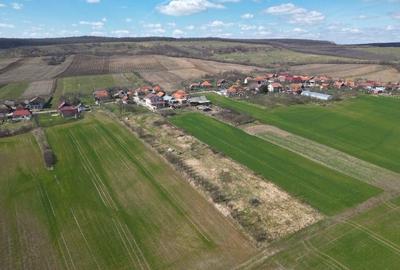 Spațiu comercial, în Sântelec - 7