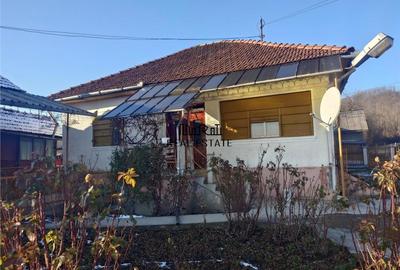 Casă cu 3 camere cu Teren 4977 Mp în Brad - 18