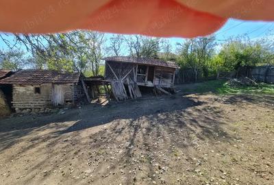 Casa si pamant agricol de vanzare - 9