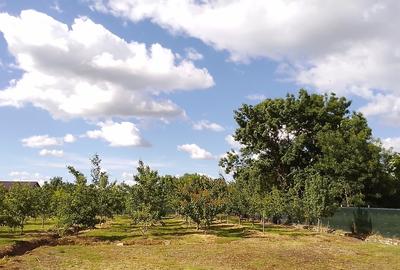 Casă cu 4 camere cu Teren 200 Mp în Central