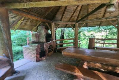 Casă individuală cu 6 camere cu Teren 5200 Mp în Sucevița - 7