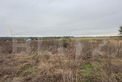 Teren de vanzare, 1000 mp, zona Dragomire?ti - 1