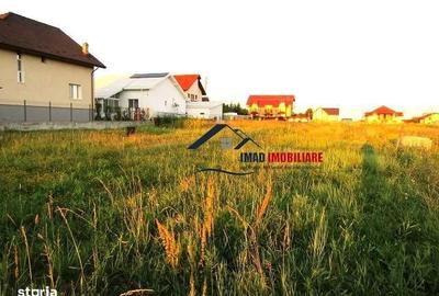 Spațiu comercial, în Viforâta