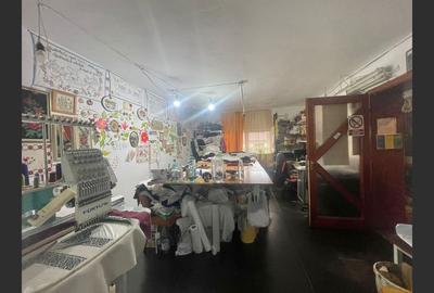 Casa cu garaj in Calnic, 231 mp construiti - 9