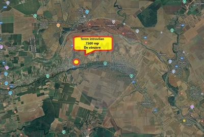Teren 7500 mp de vanzare Crivat, str. Dulciata Ion, jud. Calarasi - 2