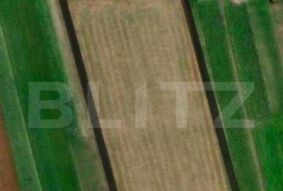 Teren de 10000 mp, în Central