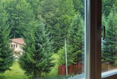 Complex Valea Neagra, statiunea Cheia, Prahova apartament cu 2 camere - 19