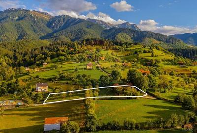 Teren de 3000 mp, în Bran - 7