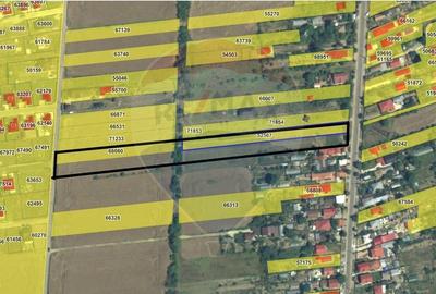 Teren Construcții intravilan de 9032 mp, în Balotești
