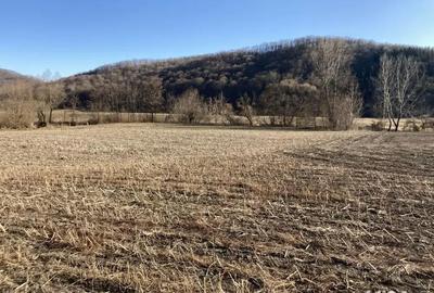 Teren de 8800 mp, în Dej - 1