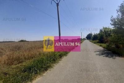 Teren de 1300 mp, în 1 Decembrie - 1