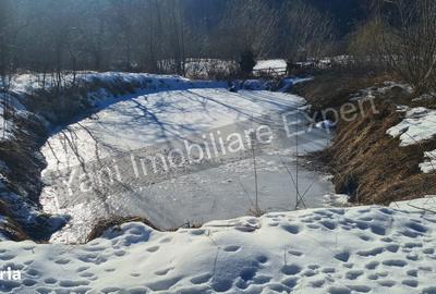 Casă cu 3 camere cu Teren 3877 Mp în Valea Danului - 9