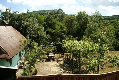 Vand casa sat Badeni, com. Moldovene?ti, jud. Cluj - 6