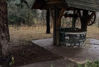 Pet Friendly, Vedere Padure, 5000mp teren, D+P+1E+M, semineu, foisor - 48