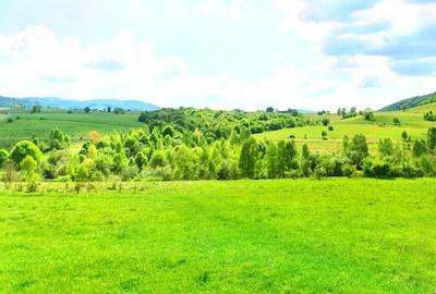 25.000 mp TEREN IDEAL AFACERE TURISM – AMENAJARE LAC DE PESCUIT, CIUCEA - CLUJ - 25