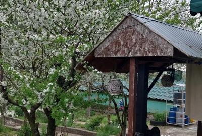 Casă cu 4 camere în Rariștea - 1