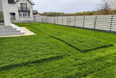 Casa superba Peri? Balteni Ilfov - 5