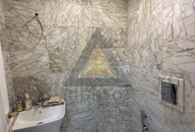 IANCU NICOLAE | VILA INDIVIDUALA CU 12 CAMERE SI PISCINA | MARK TWAIN - 9