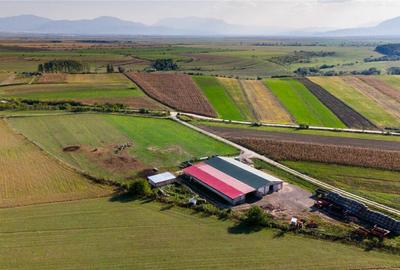 FILM! 18.000 mp,extravilan,agricol constructii, recomandat:f - 7