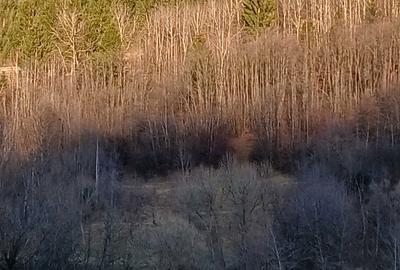 Casă cu 4 camere în Vama - 4