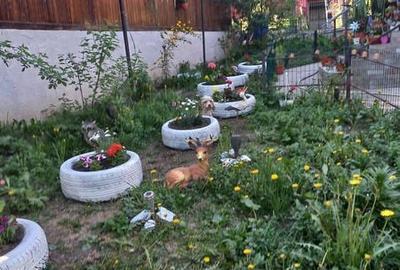 Casă cu 4 camere cu Teren 200 Mp în Burdujeni
