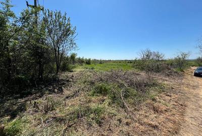 Spațiu comercial, în Cârcea - 3