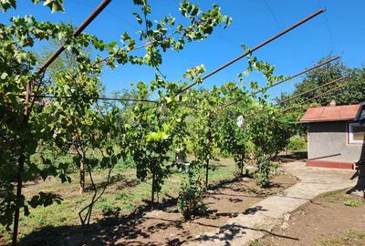 Casa ?i teren in comuna Glodeanu Sili?tea, jude?ul Buzau - 5