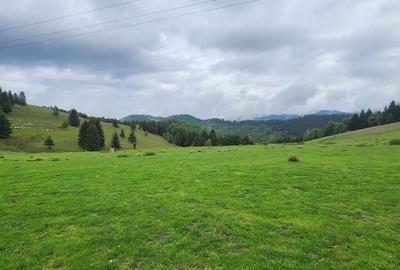 Parcele de vis in munti - Zona Arka Park, cu drum de acces si PUZ aprobat - 11