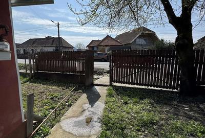 Casă cu Teren 287 Mp în Viforoasa - 2