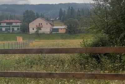 Teren de 2000 mp, în Neagra - 1