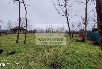 Casă cu 2 camere în Traian - 9