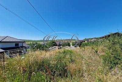 Teren cu proiect de casa in Chinteni - 4
